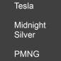 Preview: Tesla, Midnight Silver, PMNG.